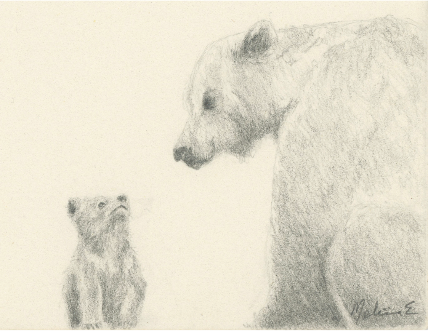 "Mama Bear" drawing print